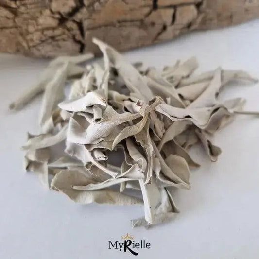Sauge blanche feuilles - Invocation - MyRielle Lithothérapie