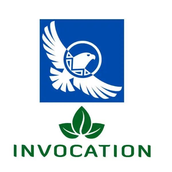 Sauge blanche feuilles - Invocation - MyRielle Lithothérapie