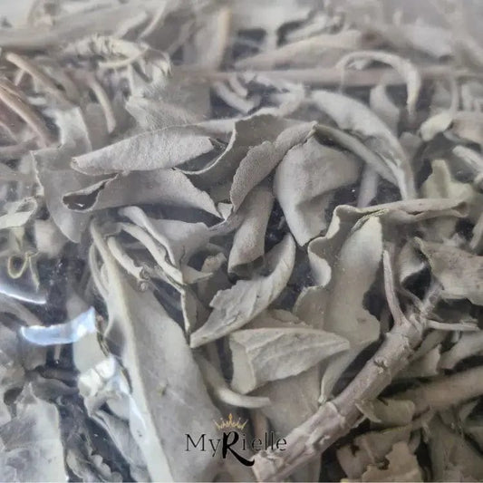 Sauge blanche feuilles - Terre de l'Aigle - MyRielle Lithothérapie