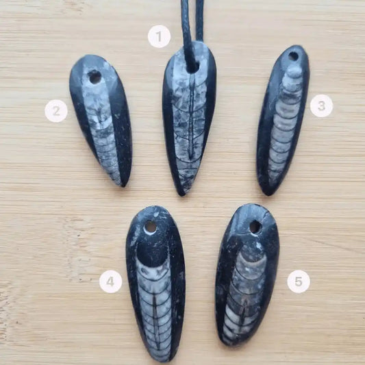 pendentif orthoceras pierre
percée choix