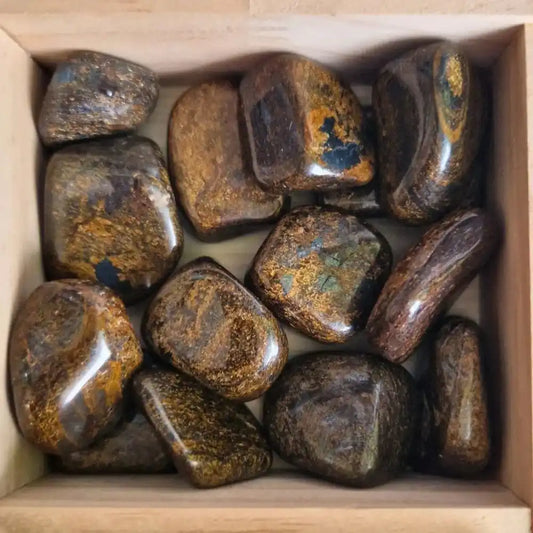 Pierre roulée bronzite 20 à 30g