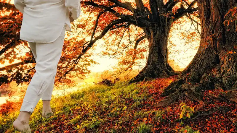 Bracelet d'ancrage : quelles pierres pour se recentrer ?