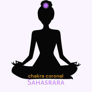 chakra coronal : sahasrara