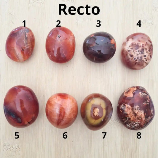 Galet Cornaline - Énergie Vitale