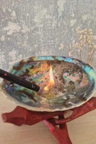 utlisation encens en poudre dans une coquille ormeaux